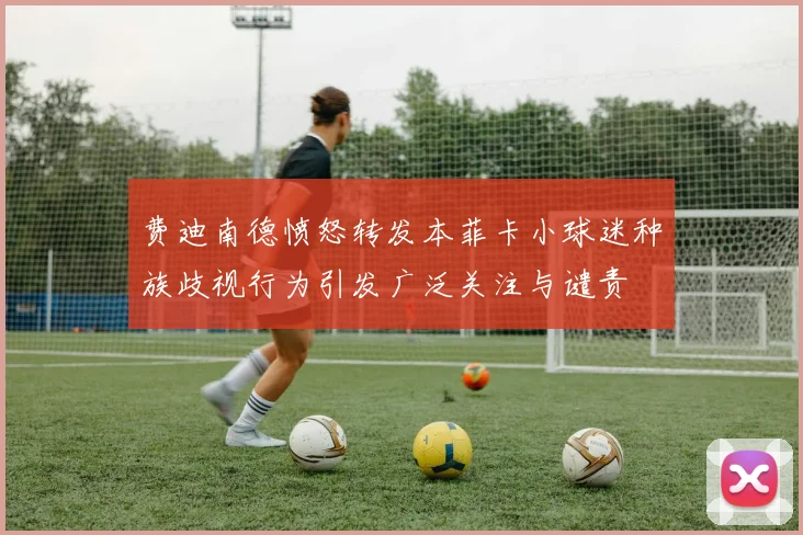 费迪南德愤怒转发本菲卡小球迷种族歧视行为引发广泛关注与谴责