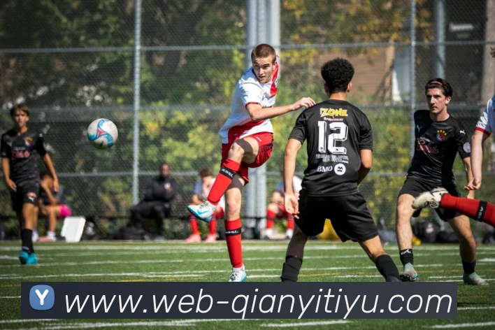 千亿体育APP 封面图