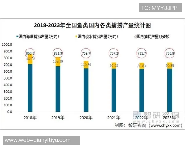徐静雨分析布伦森历史地位提升文班尚需努力提升产量与未来潜力 徐静雨分析布伦森历史地位提升文班尚需努力提升产量与未来潜力